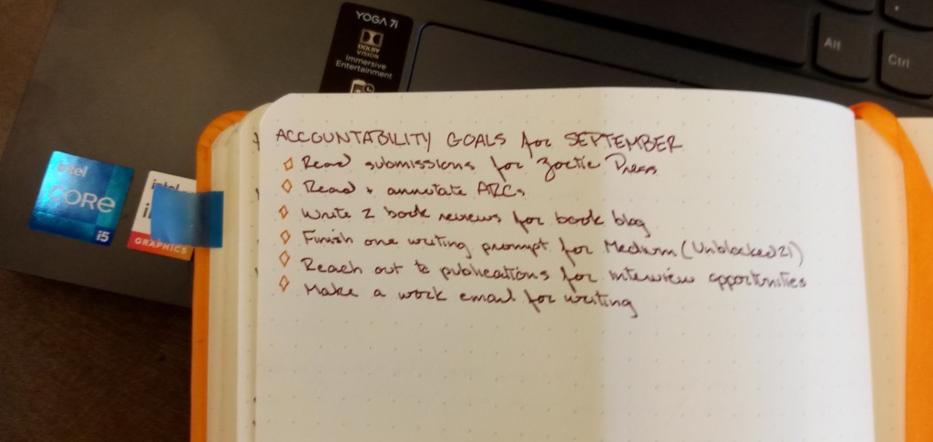 Writing Life Update: Making Myself Accountable